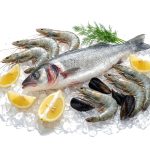 Frozen Fish & Snacks